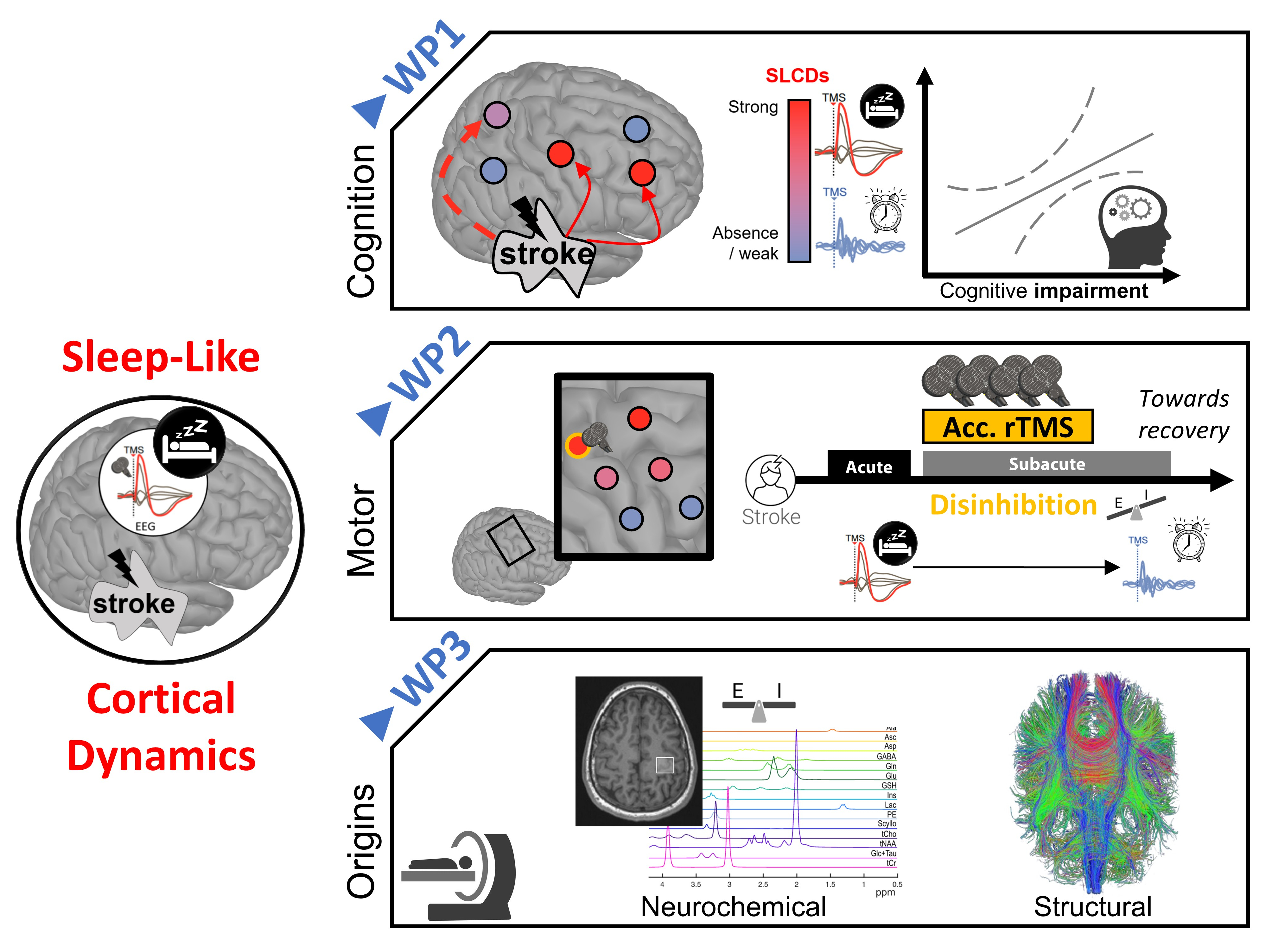 Sleepy-Stroke at a glance