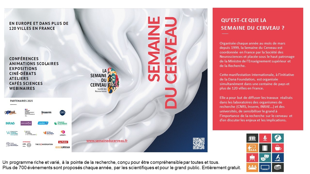  Le LPNC présent à la Semaine du Cerveau 2026