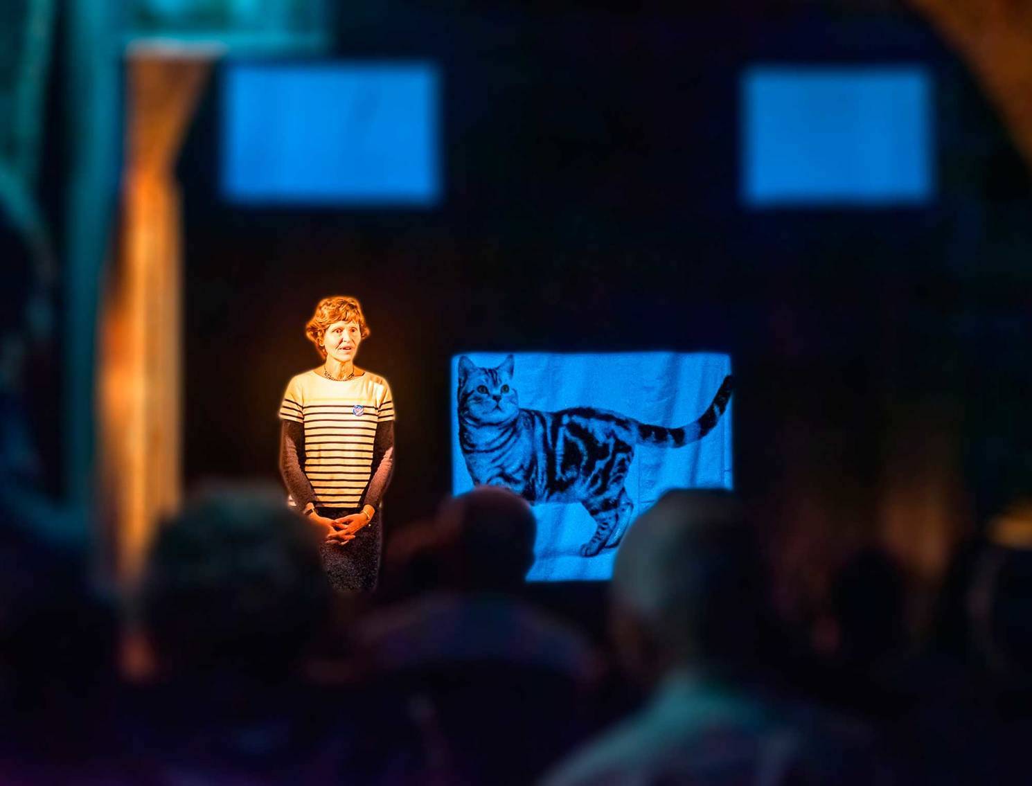 Impromptu scientifique "Des voix dans la tête", spectacle créé avec Mickaël Chouquet du groupe n+1