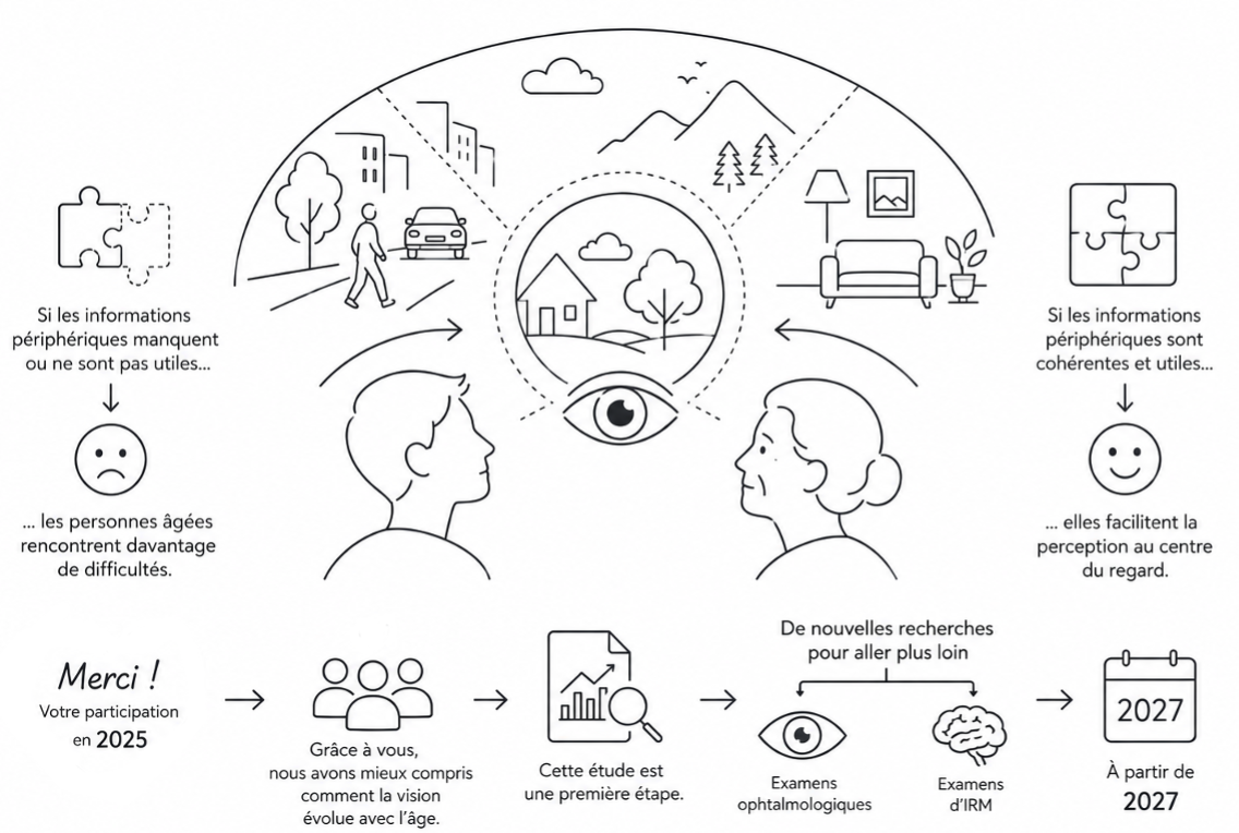 Schéma du projet RePer-AGE présentant l’étude des interactions entre vision centrale et périphérique au cours du vieillissement à travers trois axes : reconnaissance visuelle, mouvements oculaires et réorganisation cérébrale, associés à des mesures ophtalmologiques.